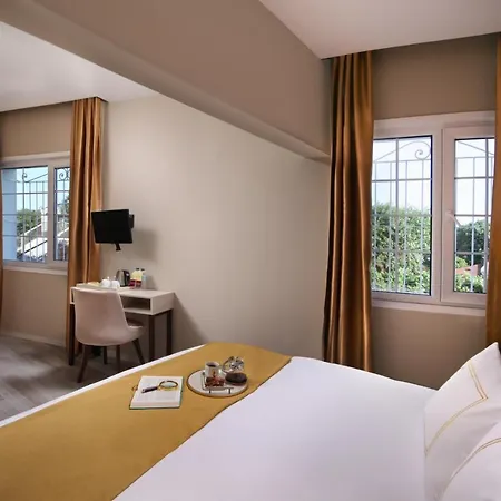 ألمينا غيست هاوس