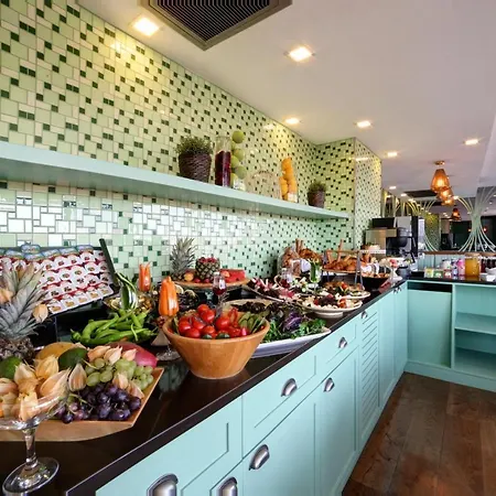 بيت ضيافة ألمينا غيست هاوس اسطنبول