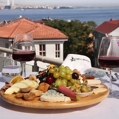 ألمينا غيست هاوس