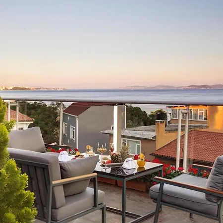 Almina Provincia di Istanbul