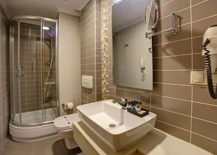 Almina Guest house 4*